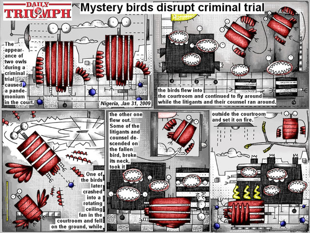 Bob Schroeder | Mystery birds disrupt criminal trial | the birds flew into the courtroom and continued to fly around while the litigants and their counsel ran around. one of the birds later crashed into a rotating ceiling fan ... the other one flew out. Some of the litigants and counsel descended on the fallen bird, broke its neck, took it outside the courtroom and set it on fire.