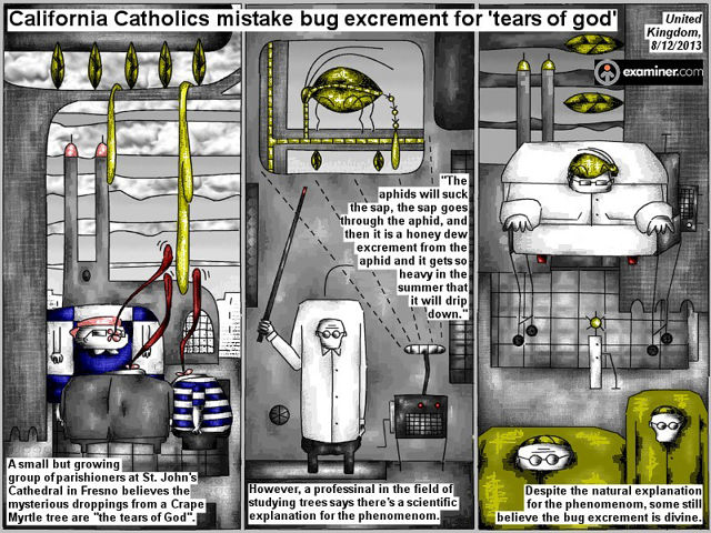 Bob Schroeder | God Aphid | Bug excrements | California Catholics mistake bug excrement for ’tears of god’