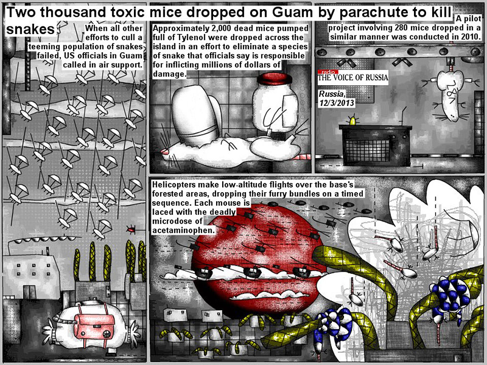 Bob Schroeder | Two thousand toxic mice dropped on Guam by parachute to kill snakes | When all other efforts to cull a teeming population of snakes failed, U.S. officials in Guam called in air support. Approximately 2,000 dead mice pumped full of Tylenol were dropped across the island in an effort to eliminate a species of snake that officials say is responsible for inflicting millions of dollars of damage. A pilot project involving 280 mice dropped in a similar manner was conducted in 2010. Helicopters make low-altitude flights over the base’s forsted areas, dropping their furry bundles on a timed sequence. Each mouse is laced with the deadly microdose of acetaminophen.