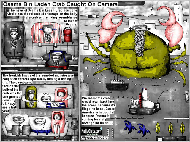 Bob Schroeder | Osama Bin Laden Crab Caught On Camera | The news of Osama Bin Laden crab has gone viral since a release of a footage on the belly of a crab with striking resemblance to that of Osama. The freakish image of the bearded monster was caught on camera by a family filming a fishing trip. The exact same face on the belly of the crab was the one by US Navy Seals last year. We learnt the crab was thrown back into the ocean because it’s illegal to keep. Guess America is in trouble because Osama is coming for a big revenge ha ha ha….