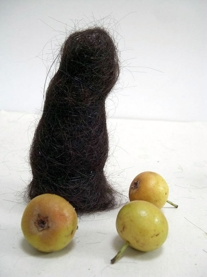 Ibovist | Haarfigur mit drei Äppeln