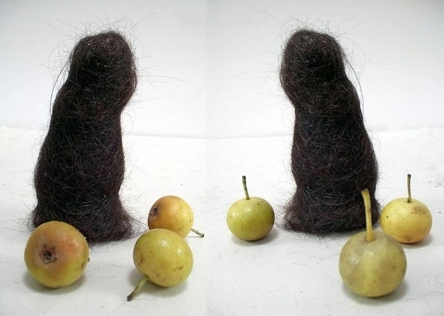 Ibovist | Haarfiguren mit drei Äppeln und drei Birnen